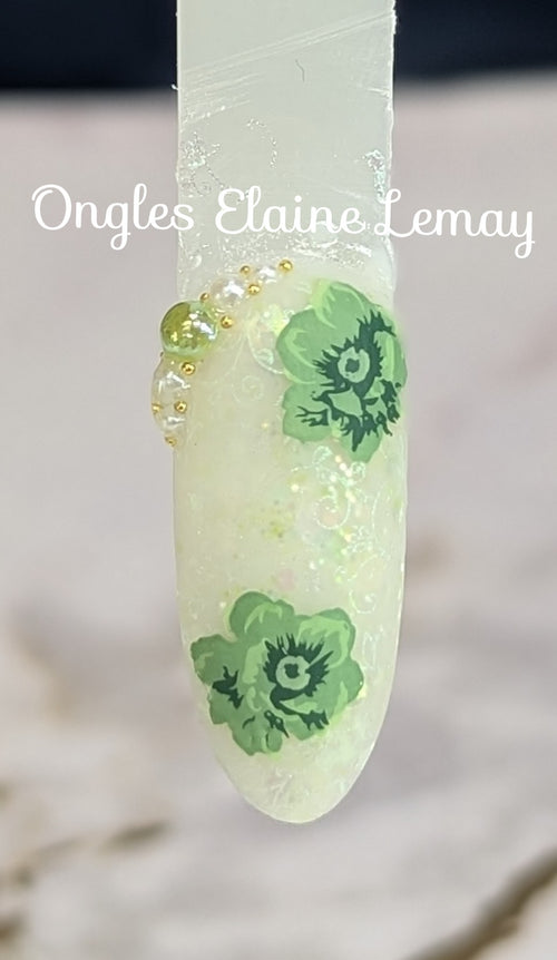 Mystery scoop #1 PEARLS