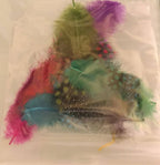 Plumes - Ongles Elaine Lemay 