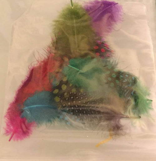 Plumes - Ongles Elaine Lemay 