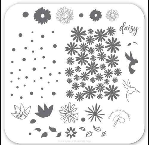 CJS-113 Daisy do, Daisy don’t - Ongles Elaine Lemay 