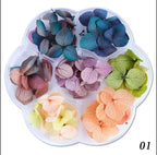 Fleurs séchées 2 options - Ongles Elaine Lemay