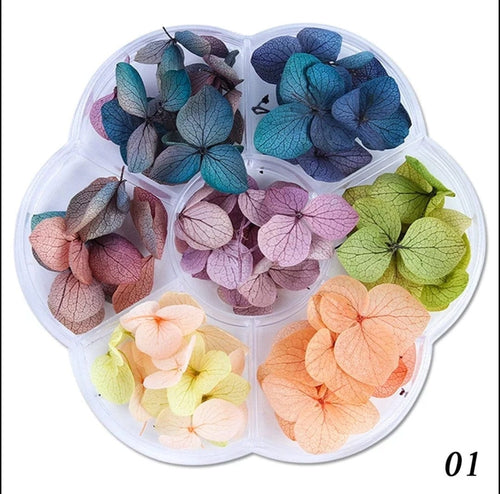 Fleurs séchées 2 options - Ongles Elaine Lemay