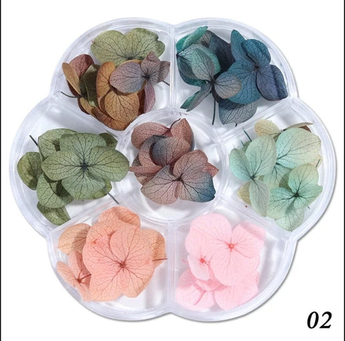 Fleurs séchées 2 options - Ongles Elaine Lemay